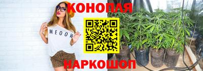 наркотики Заводоуковск