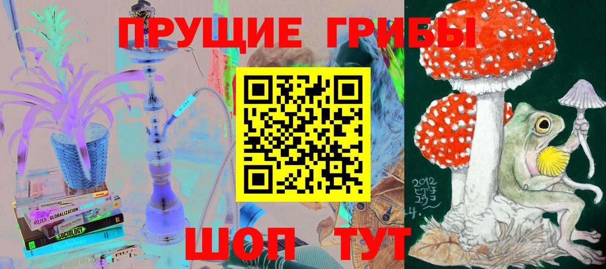 Псилоцибиновые грибы мицелий Нягань